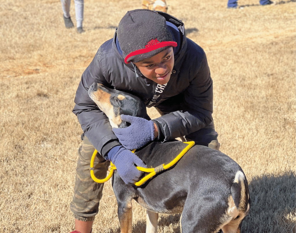 animal care