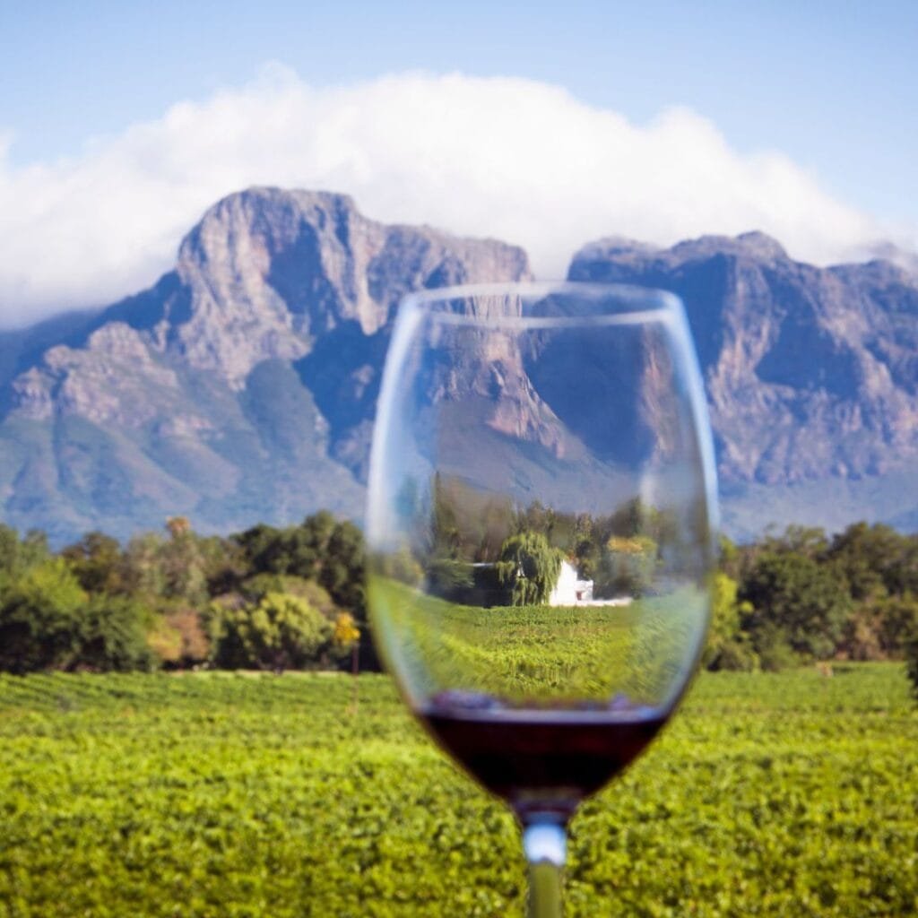 wine tasting